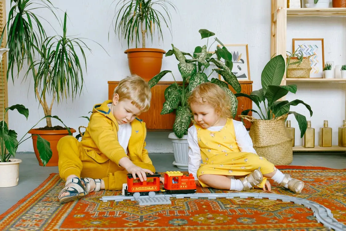 The Ultimate Guide to Carpet Cleaning with SANNA’s Natural Solutions - Sanna